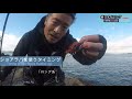 SHORE RUBBER JIG   HOW TO catch more? Just retrieve easy catch a lot    【SHORE TAIRABA】