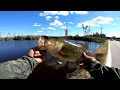 LARGE MOUTH ON THE SIDE OF THE ROAD MY PB #maryland #bass #shorts