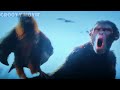 Proximus Caesar Fight Against The Apes Scene HD CLIP | Kingdom Of the Planet Of The Apes
