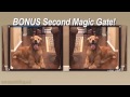 Magic Gate As Seen On TV Commercial Magic Gate As Seen On TV Pet Gate