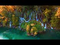 Beautiful Relaxing Music - Calms The Nervous System And Refreshes The Soul