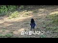 가수명미  #5월 노래: #연안부두연가