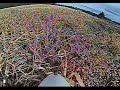 Bix3 FPV Flight