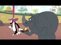 Sylvester and Tweety | Looney Tunes Cartoons | Cartoon Network Asia