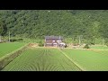 田舎の風景１年を通して　　６月１９日