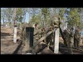 Fort Jackson Basic Combat Training 2024