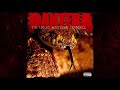 Pantera - Suicide Note, Pt.2 Lyrics