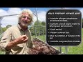 What is Mushroom Compost