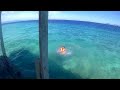 PULAU LANG TENGAH, JASMINIXORA JETTY JUMP, JULY 2016