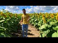 TroyBoi - The Truth | Dance Video