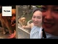 Don't try to hold back Laughter 🤣 Best Funniest Animals Video 2024