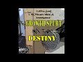 Destiny feat. Loot Stacz, Just Blue &, Onix Diamond