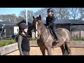 POPCORN MEETS TEDDY THE SHETLAND! * PONY PLAY DATE *