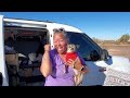 SOLO FEMALE VAN LIFE: Amazing Tiny Van Built in ONE Day!!!