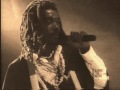 Peter Tosh - Medley (Fight Against Apartheid, Can't Blame the Youth & Dem Ha Fe Get A Beatin)