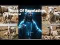 Revelation Chapter 14 Explained: The Lamb, The 144,000, and The Harvest of the Earth