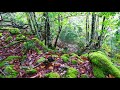 Galicia: Otoño en la Ribeira Sacra