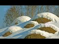 75-летний дед на похоронах внучки наклонился к гробу поправить платье. А едва коснувшись, онемел...