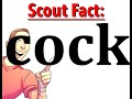 True Scout Facts