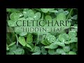 RPG medieval - Celtic harp relaxing (fairie pixie) 