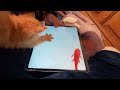 Found a kitten and it likes to play with tablet