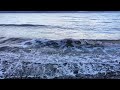 Sounds of the Salish Sea