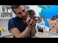 Baby Kittens Visits Veterinary! ( Adorable Kittens with Mother Cat Together )