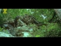 Bobbili Raja Full Movie | Venkatesh Daggubati | Divya Bharathi | Suresh Productions