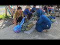 Pineapple Harvest To Market, Dig A Pond For Ducks To Bathe In- Lý Thị Nhâm