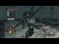 Dark souls 2 trolled