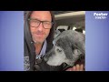 16 Year Old Shelter Dog Starts Galloping Like A Puppy With His Foster Dad | The Dodo Foster Diaries