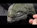 Sculpting the World Serpent Jörmungandr from God of War