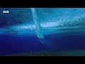 The 'Finger of Death' that Freezes Everything it Touches | Earth's Great Seasons | BBC Earth