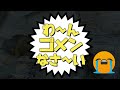 またイッちゃんホウちゃんの追いかけっこ！400m走は5分50秒から始まります。二人とも必死すぎて超面白いですよ❤️【イッちゃんホウちゃん 209】