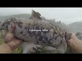 CHALLENGING FLOOD WATER FISHING. KALIMPONGHILLS.