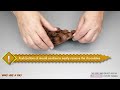 Easy Caramel Filled Chocolates Tutorial