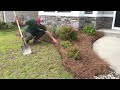 How to use a shovel or spade to tuck pinestraw.