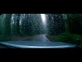 A drive through Avenue of the Giants Redwood Forest | Pepperwood to Myers Flat | 2023