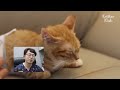 Kitten With Disability Wants To Run With His Mom | Animal in Crisis EP47