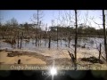 les dégàts sur les plages d'oleron muriel