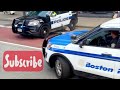 Arresting a turkey by the police! 😱🦃🇺🇸#viral #shorts #strange #funny #usa #boston #accidentnews