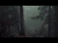 Scary Forest | Royalty Free | Ambience & Sound Effects