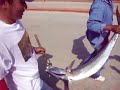 Khobar Anglers - Hajj Tournament Champion - 21-kg. Kanaad (Tanigue)