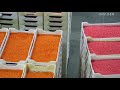 How Jelly Belly Jelly Beans Are Made | The Making Of