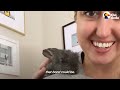 This Is The Tiniest Baby Bunny In The World | The Dodo