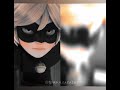 chat noir edit