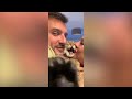 Hilarious Cat Moments Caught on Camera