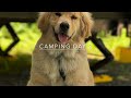 29-Week Puppy - Canada Day Long Weekend Camping - Swimming Beaver