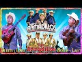 Puros Corridos y Rancheras Mix - Dueto Bertin y Lalo, Dueto Los Armadillos, Armadillos de la Sierra