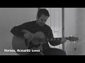An acoustic cover of David Bowie's Heroes